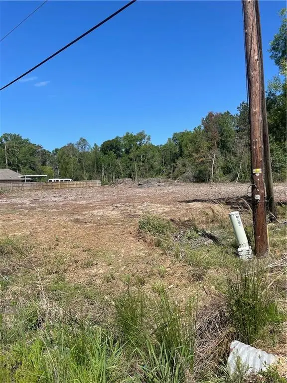 21163 E Hwy 22, Ponchatoula, LA 70454 - Image #3