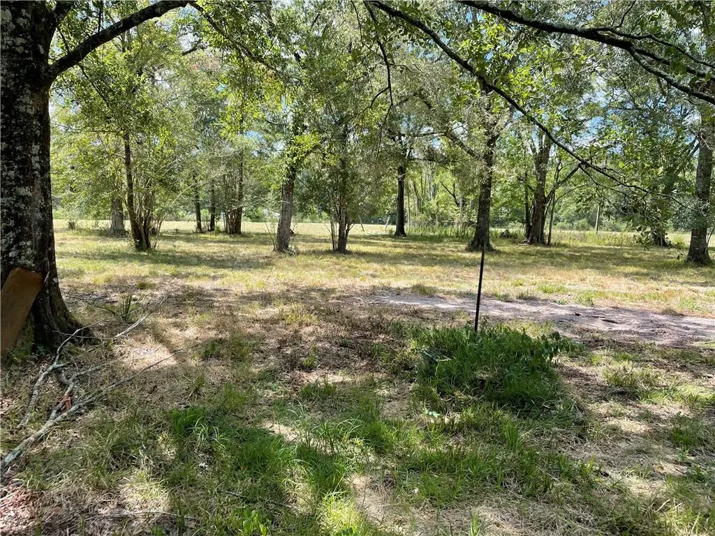TBD Talmadge Crumholt Road, Central, LA 70818 - #1