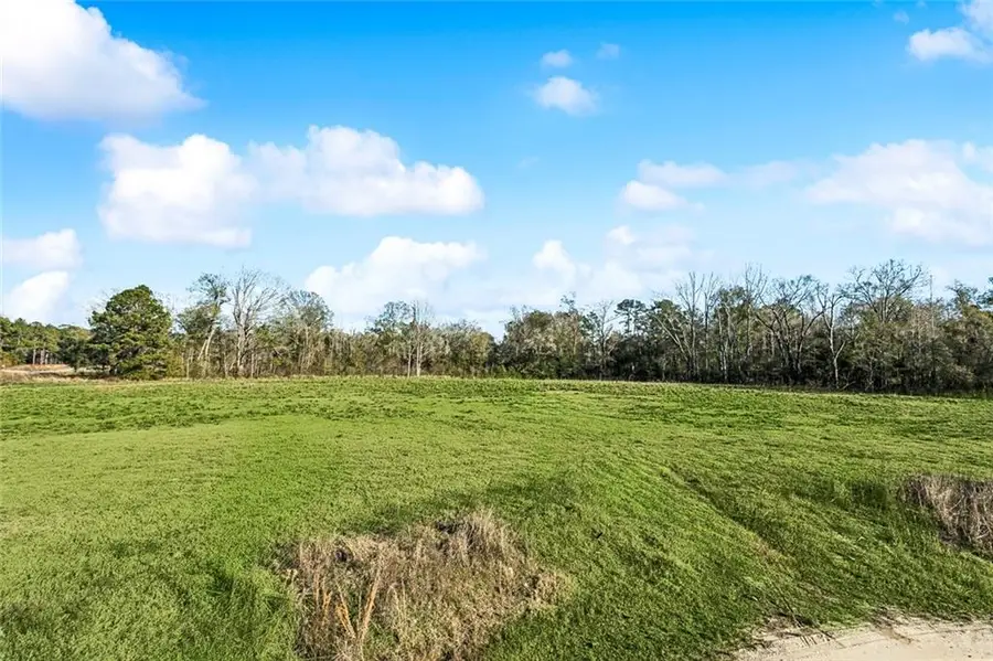 12576 Goldentop Drive, Covington, LA 70433 - Image #3