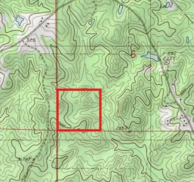 Shiloh Road, Bienville, LA 71008 - Image #3