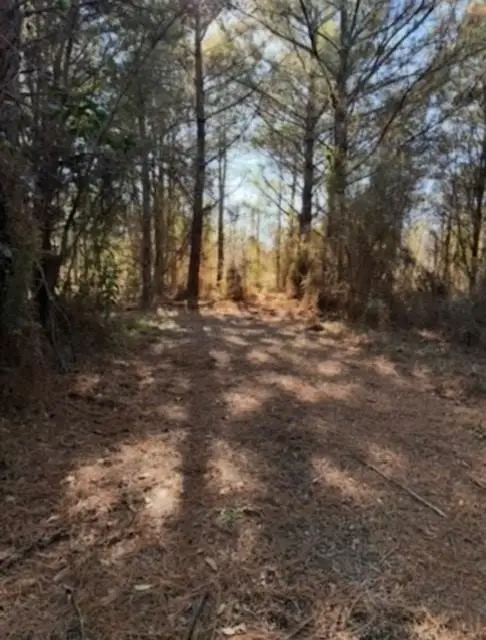 29 Jennie Lane, Picayune, MS 39466 - #3