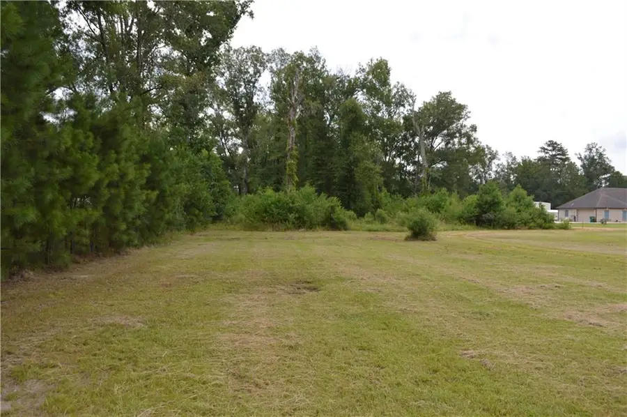 11165 Bassemier Lane, Hammond, LA 70403 - Image #3