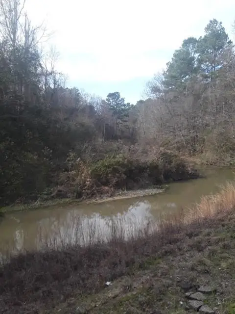 TBD Hwy 51 Highway, Fluker, LA 70436 - #3