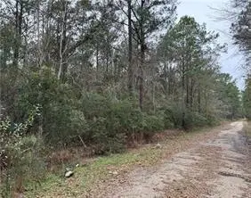St Louis Street, Lacombe, LA 70445 - #1