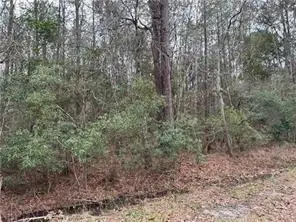 St Louis Street, Lacombe, LA 70445 - #2