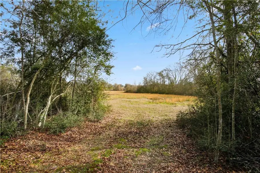 Tract C Boomerang Road, Amite, LA 70422 - #3