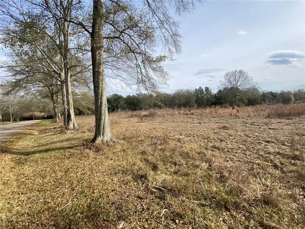 12410 Quaglino Road, Folsom, LA 70437 - #1