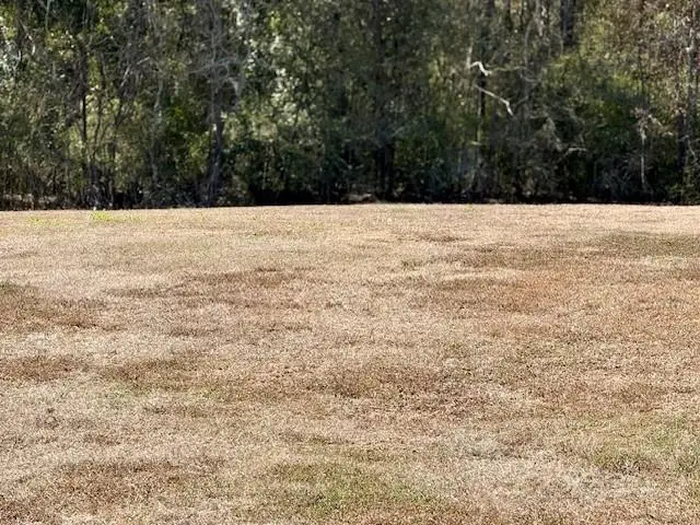 1 Clifford Court, Waggaman, LA 70094 - #2