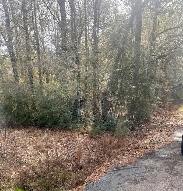 40 Acres Joiner-wymer Road, Covington, LA 70433