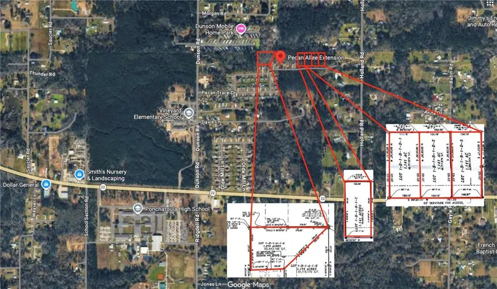 Pecan Allee Extension, Ponchatoula, LA 70454 - #1