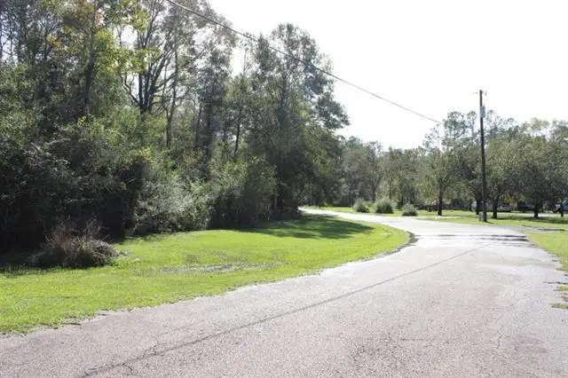 Happywoods Road, Springfield, LA 70462 - #2