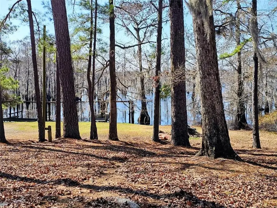 577 Collins Camp Road, Winnfield, LA 71483 - #2