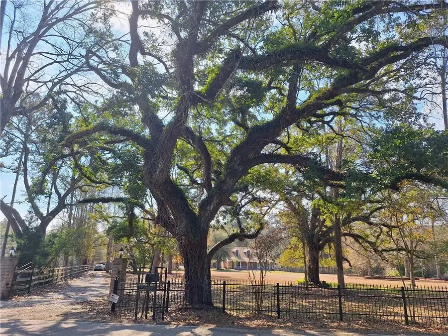 62305 Highway 1091 Highway, Pearl River, LA 70452 - #3