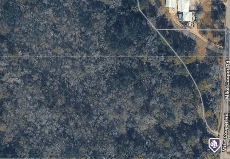 42848 Mike Cooper Road, Ponchatoula, LA 70454 - #2