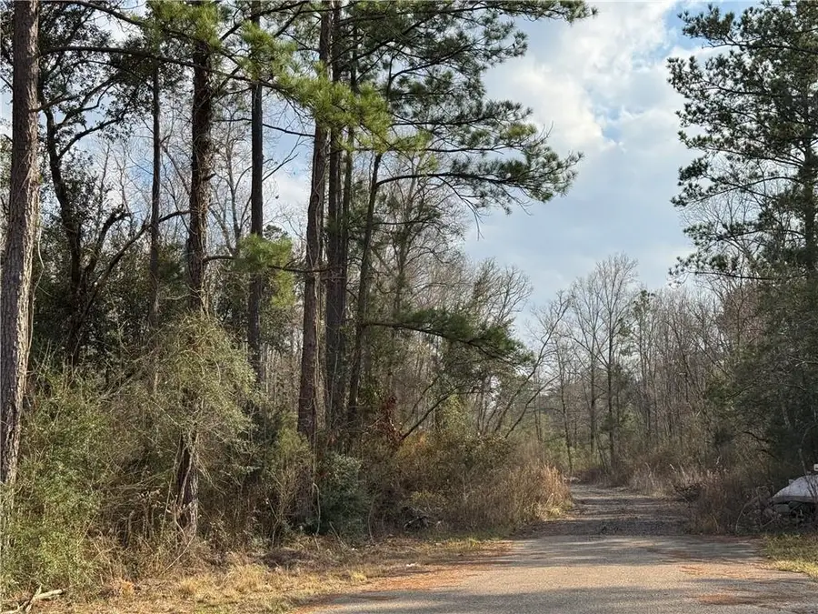 TBD Winder Road, Springfield, LA 70462 - #2