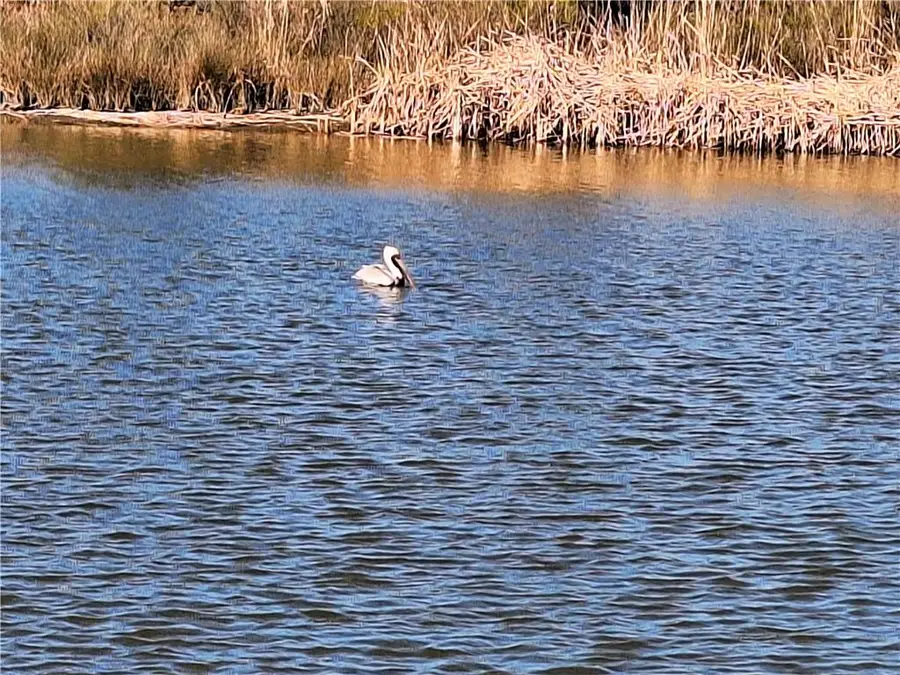 53337 Highway 433 Highway, Slidell, LA 70461 - #2