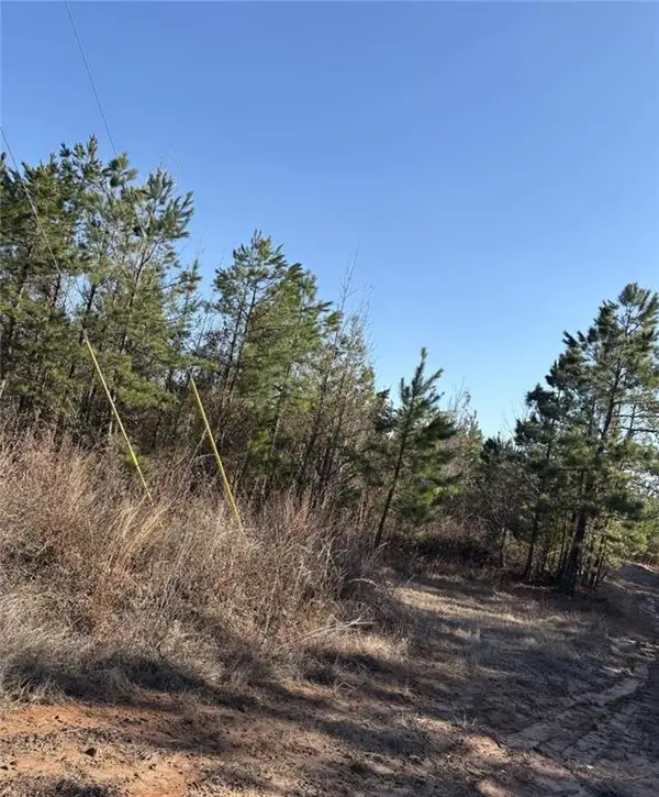 62.71 Acres Hwy 120 Road, Flora, LA 71428