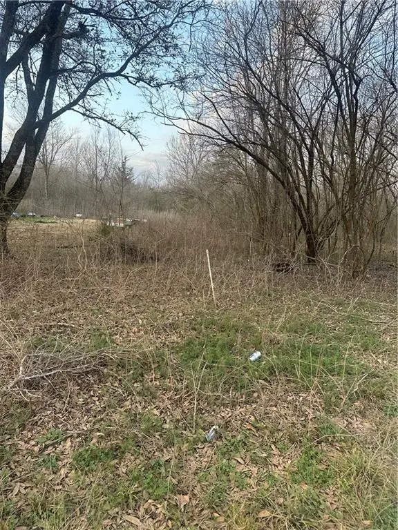 0 River Lane, Marksville, LA 71351 - #1