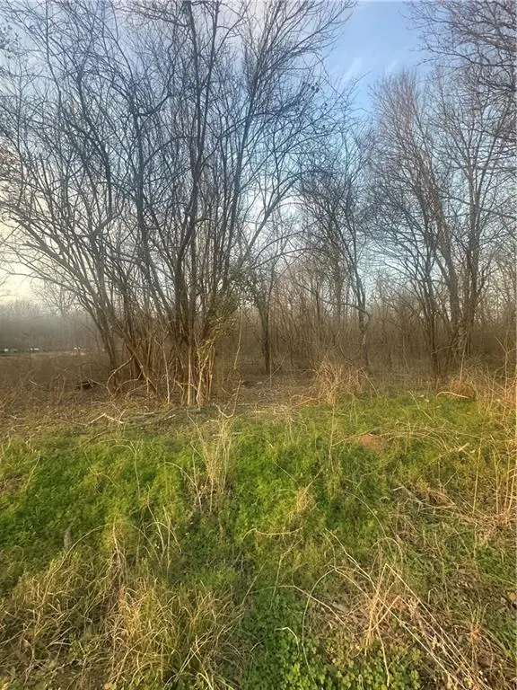 0 River Lane, Marksville, LA 71351 - #3