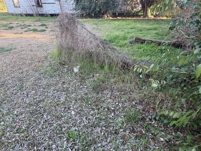 3118 Adams Court, Alexandria, LA 71302 - #3