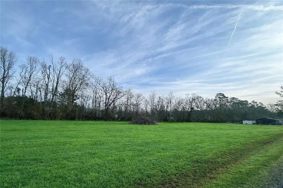 44080 Mary Singletary Road, Saint Amant, LA 70774 - #3