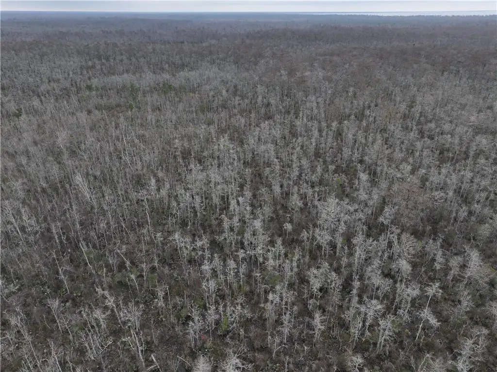 0 Lower Rome Road, Springfield, LA 70462 - #1