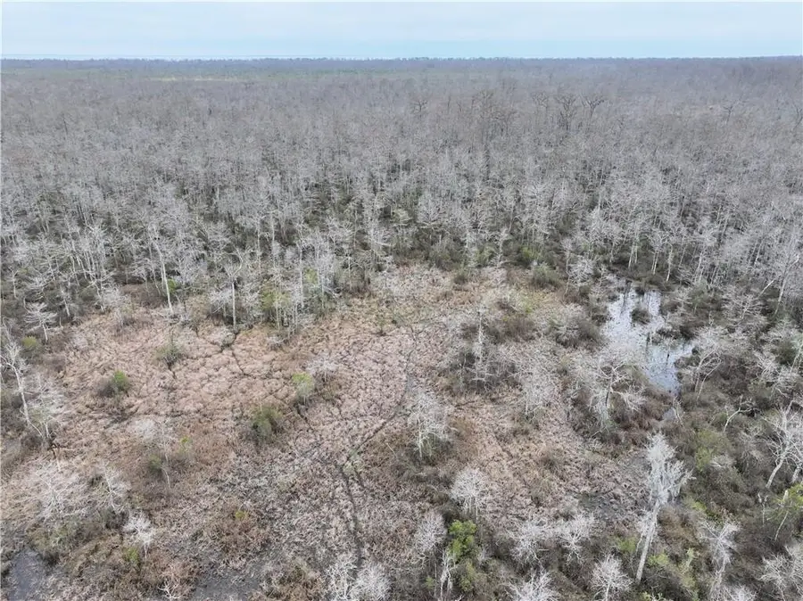 0 Lower Rome Road, Springfield, LA 70462 - #2