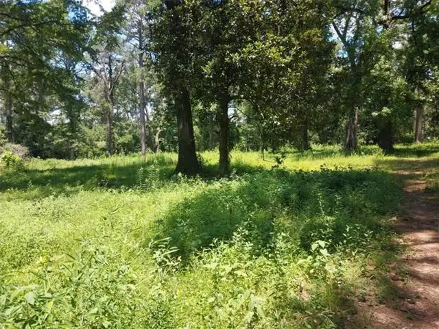 4354 Rigolette Road, Pineville, LA 71360 - #1