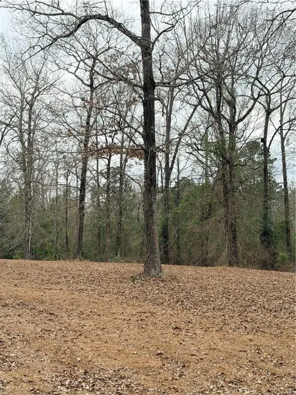 0 Edmonds Road, Pollock, LA 71467 - #3