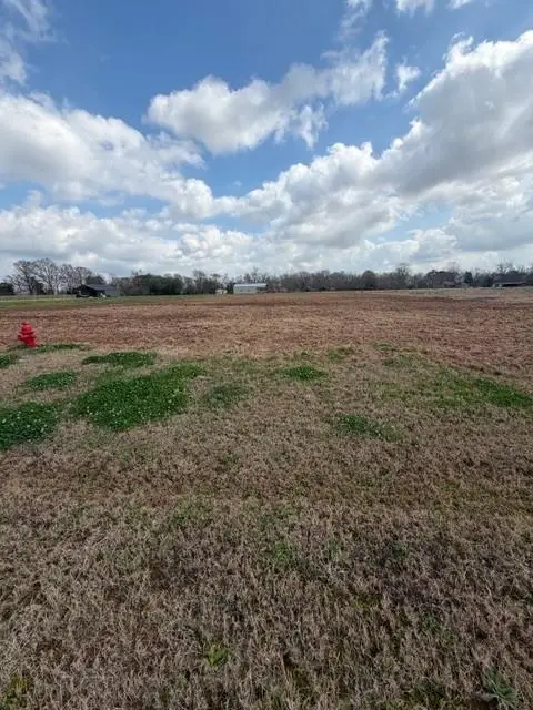 4568 Navys Way, Boyce, LA 71409 - #1