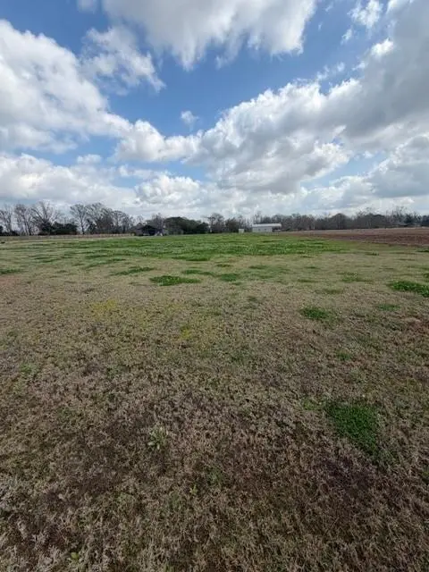 4568 Navys Way, Boyce, LA 71409 - #3