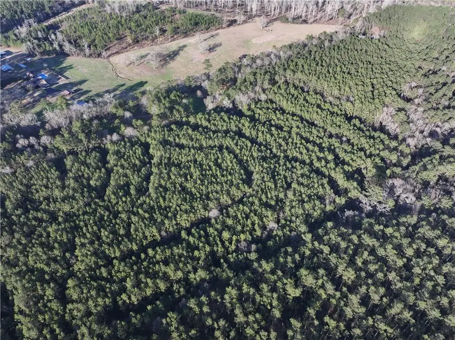 Hwy 43 Highway, Greensburg, LA 70441 - #2