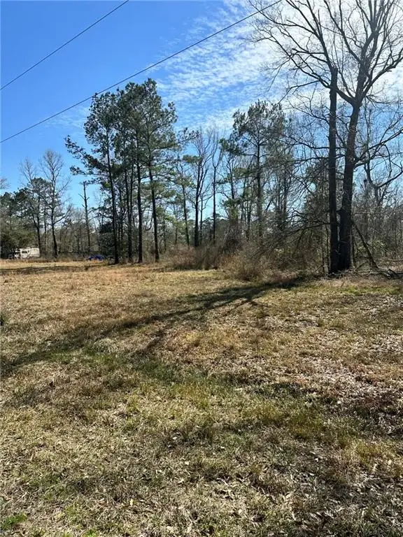 12436 Dusty Lane, Tickfaw, LA 70466 - #3