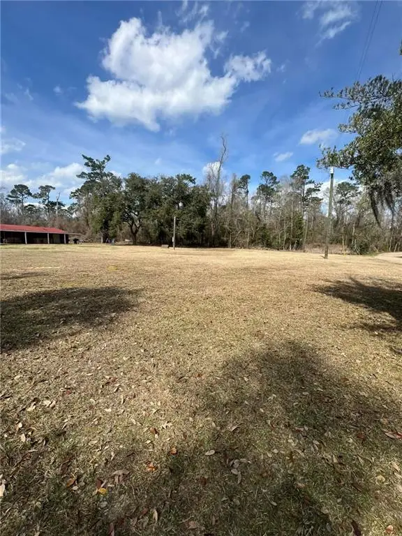 16683 Meissner Road, Springfield, LA 70462 - #3