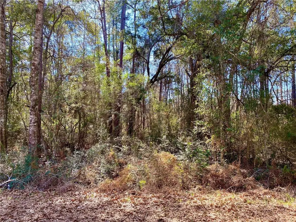 Lot 20 Fairway Drive, Abita Springs, LA 70420 - #1