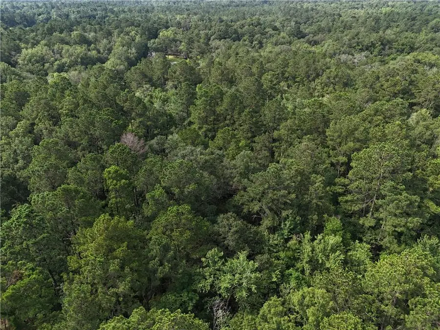 41135 Roper Road, Ponchatoula, LA 70454 - #3