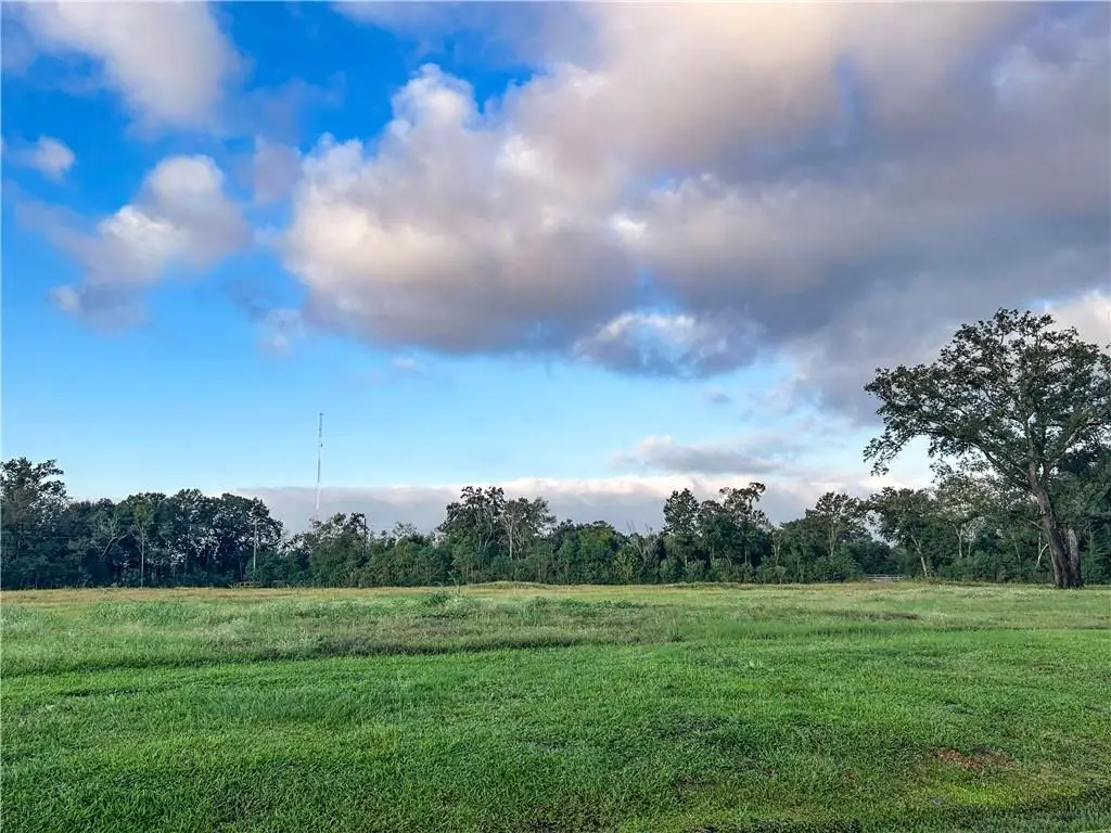 207 Cypress Crossing Drive, Belle Chasse, LA 70037 - #1