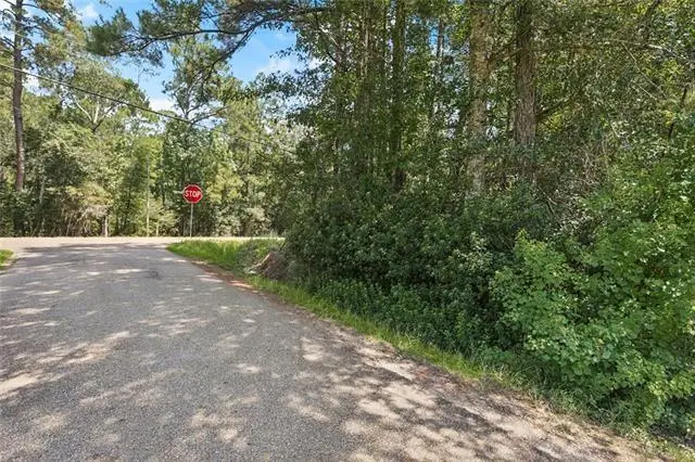 TBD Hwy 40 Highway, Bush, LA 70431 - #3