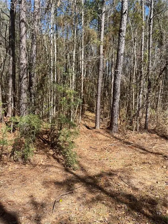 60052 Louise Talley Road, Bogalusa, LA 70427 - #2