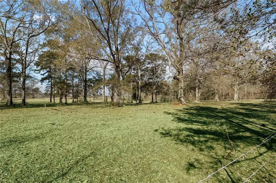 Rhoner Road, Amite, LA 70422 - #2