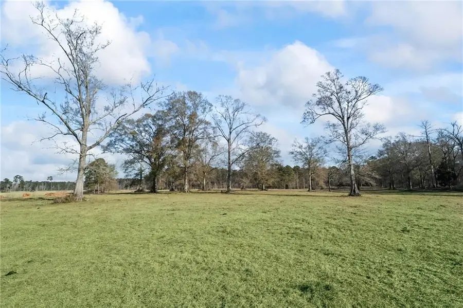 Rhoner Road, Amite, LA 70422 - #3