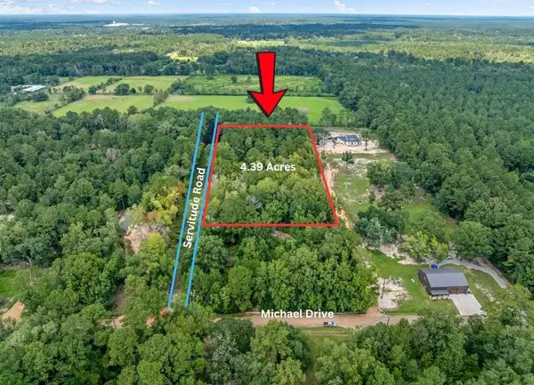 24411 Michael Drive, Ponchatoula, LA 70454