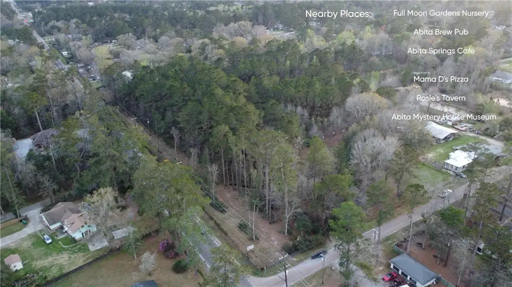Hwy 59 Highway, Abita Springs, LA 70420 - #1