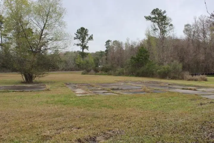 Riverscape Drive, Springfield, LA 70462 - #2