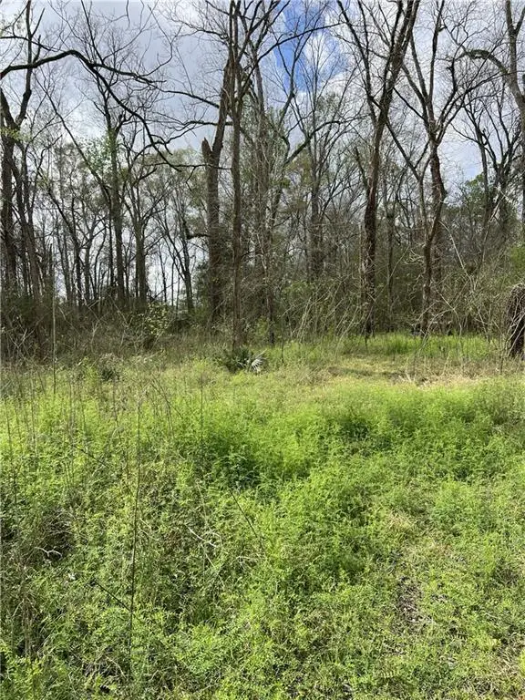 1037 Hwy 457, Lecompte, LA 71346 - #3