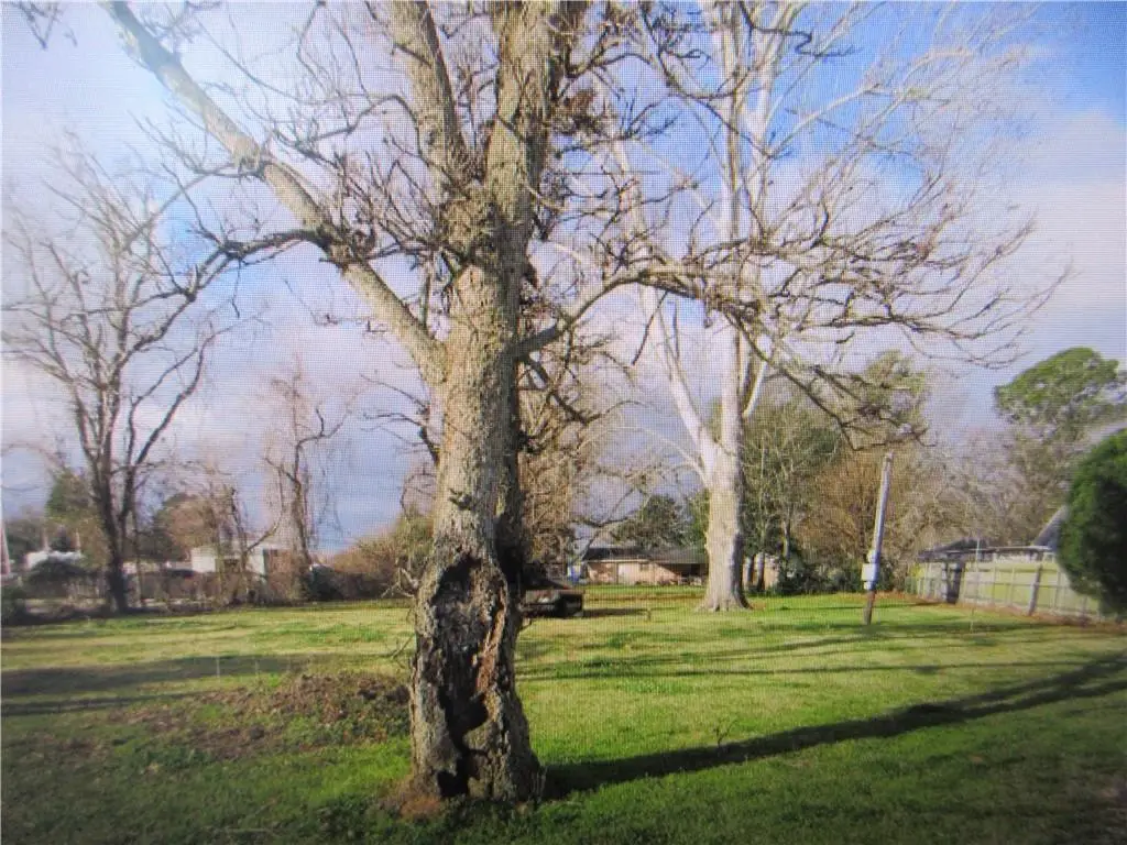 58 Heyman Lane, Alexandria, LA 71303 - #1