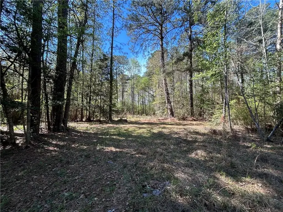 Butter Cemetery Road, Forest Hill, LA 71430 - #2