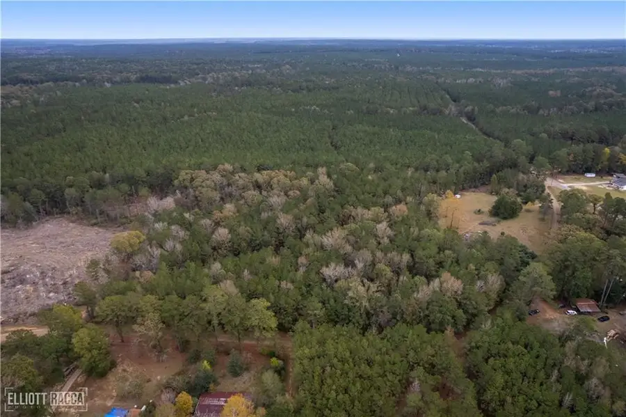 Pollock Cemetery Road, Pollock, LA 71467 - #3