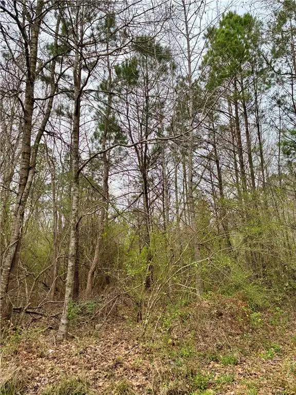 0 Rose Street, Covington, LA 70435 - #3