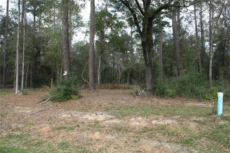 21141 Little River Court, Covington, LA 70435 - #2